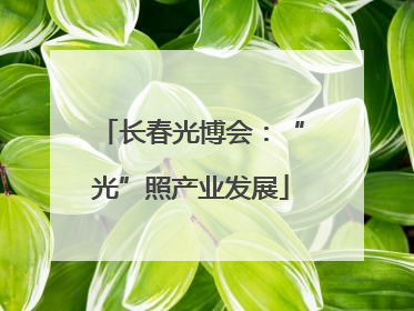 长春光博会：“光”照产业发展