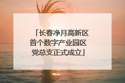 长春净月高新区首个数字产业园区党总支正式成立
