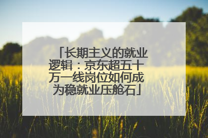 长期主义的就业逻辑：京东超五十万一线岗位如何成为稳就业压舱石