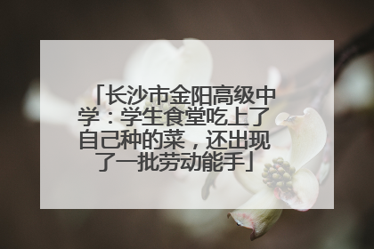 长沙市金阳高级中学：学生食堂吃上了自己种的菜，还出现了一批劳动能手