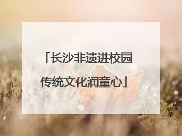 长沙非遗进校园 传统文化润童心