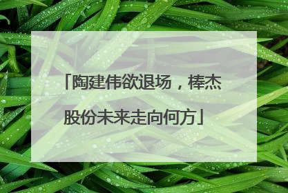 陶建伟欲退场，棒杰股份未来走向何方