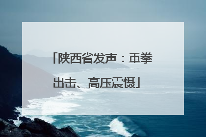 陕西省发声：重拳出击、高压震慑