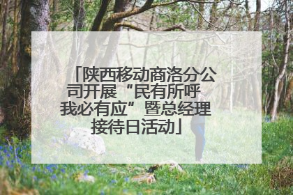 陕西移动商洛分公司开展“民有所呼 我必有应”暨总经理接待日活动