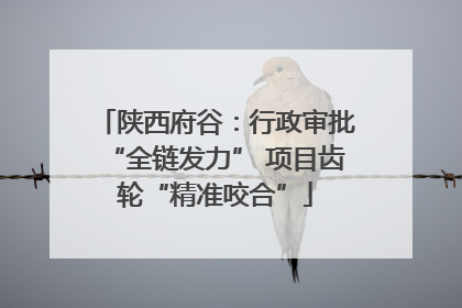 陕西府谷：行政审批“全链发力” 项目齿轮“精准咬合”