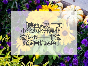 陕西武功二实小常态化开展非遗传承——非遗沉淀自信底色