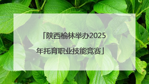 陕西榆林举办2025年托育职业技能竞赛
