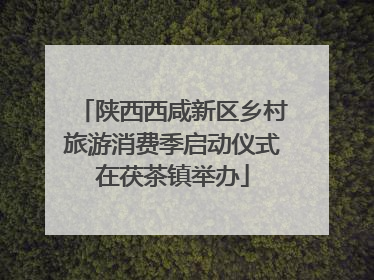 陕西西咸新区乡村旅游消费季启动仪式在茯茶镇举办