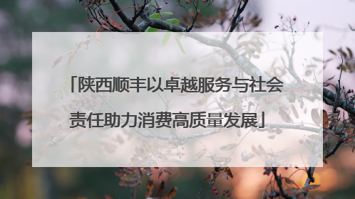 陕西顺丰以卓越服务与社会责任助力消费高质量发展
