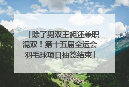除了男双王昶还兼职混双！第十五届全运会羽毛球项目抽签结束