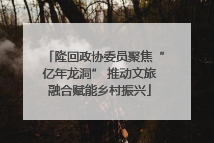 隆回政协委员聚焦“亿年龙洞” 推动文旅融合赋能乡村振兴