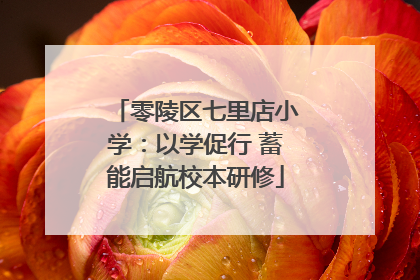 零陵区七里店小学：以学促行 蓄能启航校本研修
