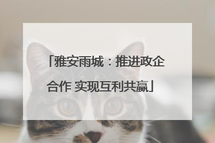 雅安雨城：推进政企合作 实现互利共赢