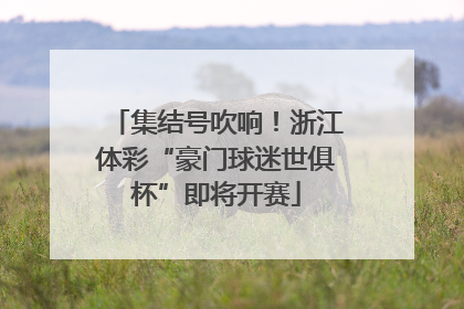 集结号吹响！浙江体彩“豪门球迷世俱杯”即将开赛