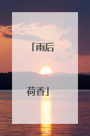 雨后荷香