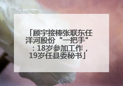 顾宇接棒张联东任洋河股份“一把手”：18岁参加工作，19岁任县委秘书