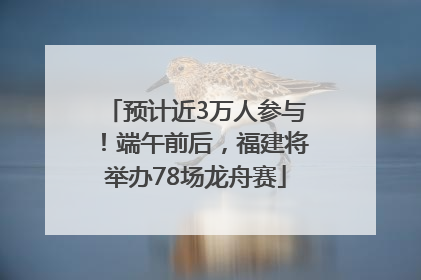 预计近3万人参与！端午前后，福建将举办78场龙舟赛