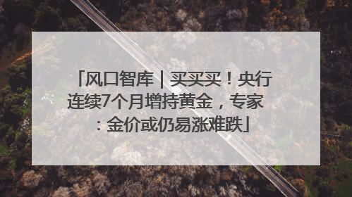 风口智库｜买买买！央行连续7个月增持黄金，专家：金价或仍易涨难跌
