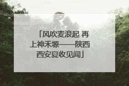 风吹麦浪起 再上神禾塬——陕西西安夏收见闻