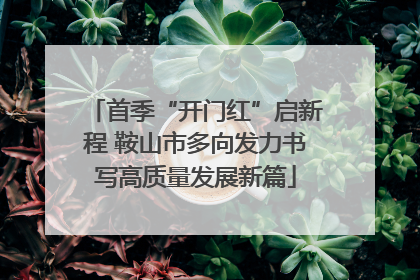 首季“开门红”启新程 鞍山市多向发力书写高质量发展新篇