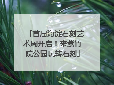 首届海淀石刻艺术周开启！来紫竹院公园玩转石刻