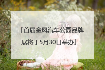 首届金凤汽车公园品牌展将于5月30日举办