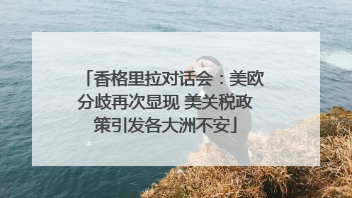 香格里拉对话会：美欧分歧再次显现 美关税政策引发各大洲不安