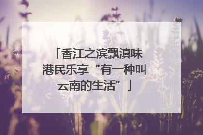 香江之滨飘滇味 港民乐享“有一种叫云南的生活”