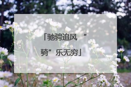 驰骋追风 “骑”乐无穷