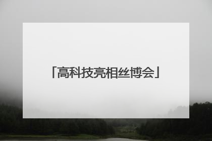 高科技亮相丝博会