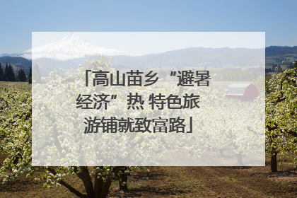 高山苗乡“避暑经济”热 特色旅游铺就致富路