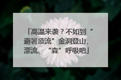 高温来袭？不如到“避暑顶流”金洞登山、漂流、“森”呼吸吧