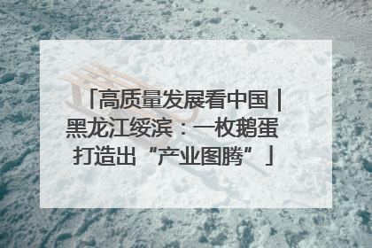 高质量发展看中国｜黑龙江绥滨：一枚鹅蛋打造出“产业图腾”