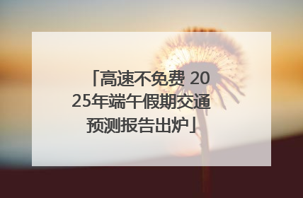高速不免费 2025年端午假期交通预测报告出炉