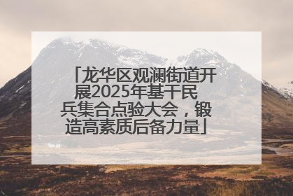 龙华区观澜街道开展2025年基干民兵集合点验大会，锻造高素质后备力量