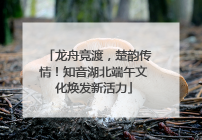 龙舟竞渡，楚韵传情！知音湖北端午文化焕发新活力