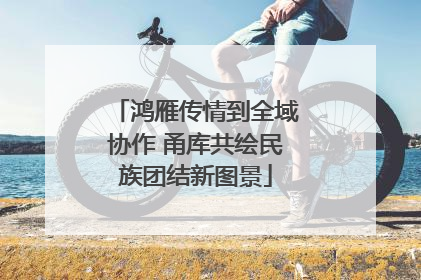 鸿雁传情到全域协作 甬库共绘民族团结新图景