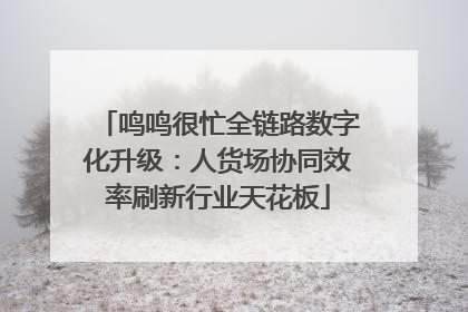 鸣鸣很忙全链路数字化升级：人货场协同效率刷新行业天花板
