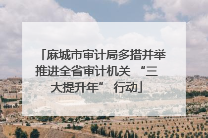 麻城市审计局多措并举推进全省审计机关 “三大提升年” 行动