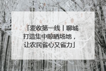 麦收第一线丨聊城打造集中晾晒场地，让农民省心又省力