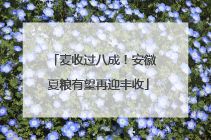 麦收过八成！安徽夏粮有望再迎丰收