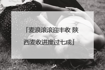 麦浪滚滚迎丰收 陕西麦收进度过七成