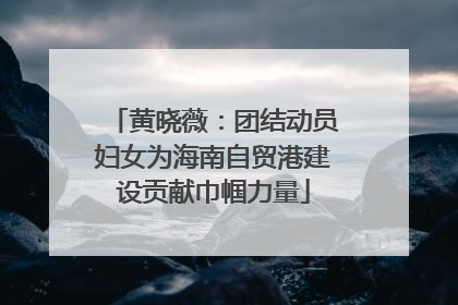 黄晓薇：团结动员妇女为海南自贸港建设贡献巾帼力量