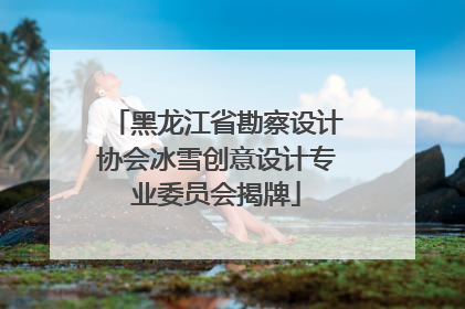 黑龙江省勘察设计协会冰雪创意设计专业委员会揭牌