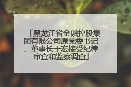 黑龙江省金融控股集团有限公司原党委书记、董事长于宏接受纪律审查和监察调查