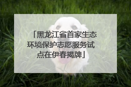 黑龙江省首家生态环境保护志愿服务试点在伊春揭牌
