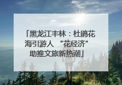 黑龙江丰林：杜鹃花海引游人 “花经济”助推文旅新热潮