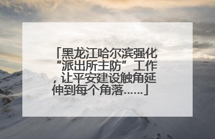 黑龙江哈尔滨强化“派出所主防”工作，让平安建设触角延伸到每个角落……