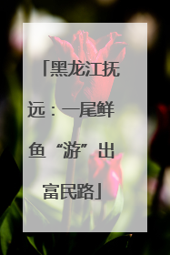 黑龙江抚远：一尾鲜鱼“游”出富民路