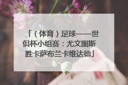 （体育）足球——世俱杯小组赛：尤文图斯胜卡萨布兰卡维达德